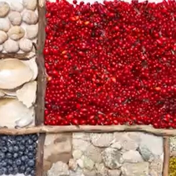 WALD Kalender September 2024