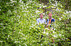 Braumeister Axel Kiesbye (li.) mit Bundesforste-Revierleiter Harald Zollner bei der Ernte der Kirschblüten