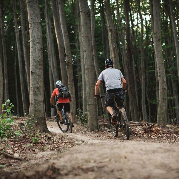 Mountainbiken: Bundesforste fordern mehr Fairplay zu Saisonauftakt