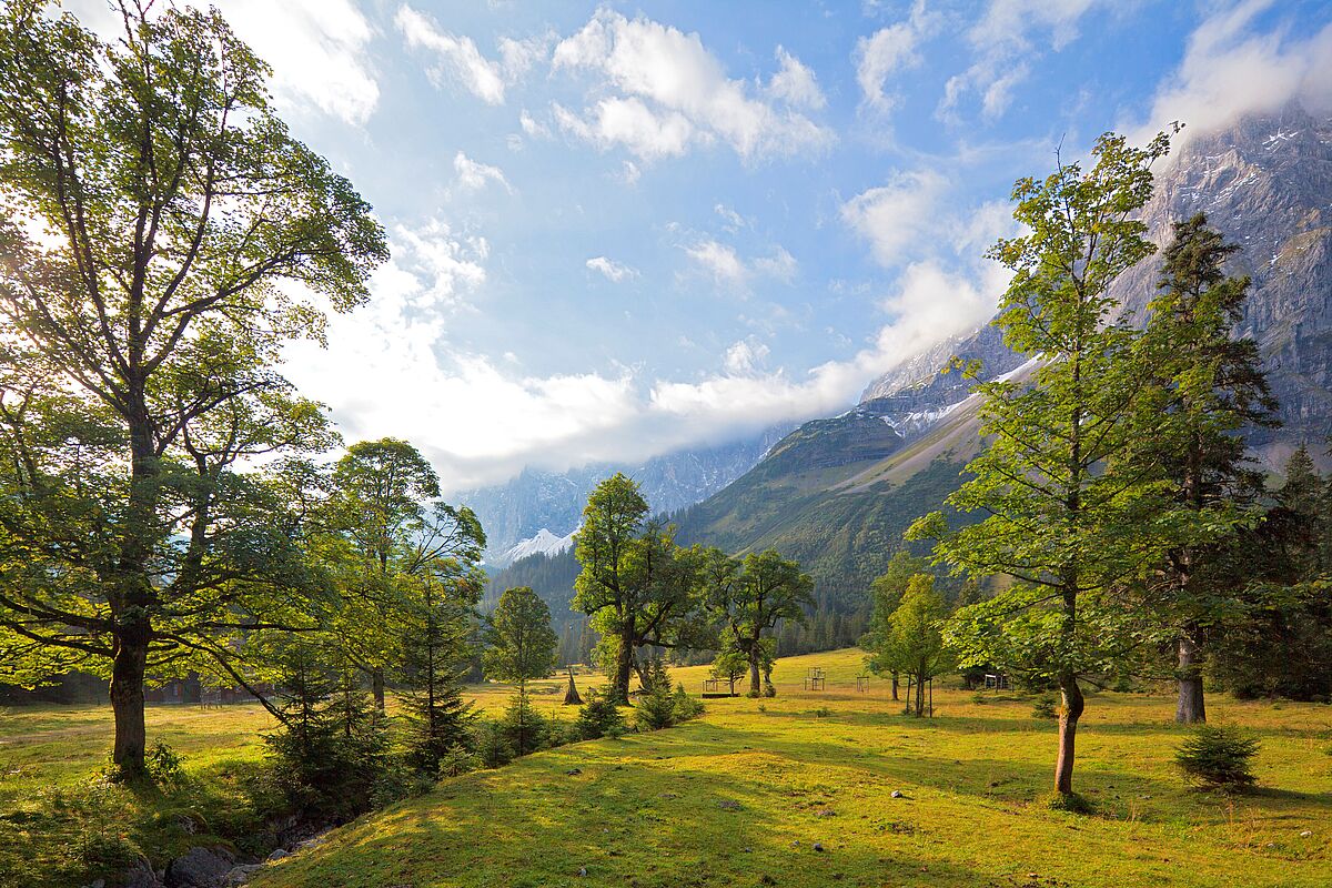 Ahornboden und Lalidererwände (c) ÖBf/F. Pritz Ahornboden und Lalidererwände (c) ÖBf/F. Pritz