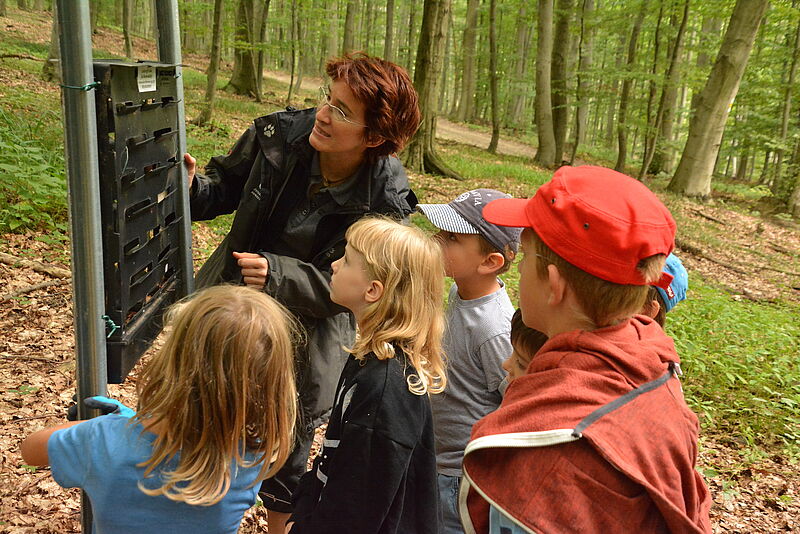 Kontrolle Borkenkäferfalle mit Kindern. Foto: G.Waiss