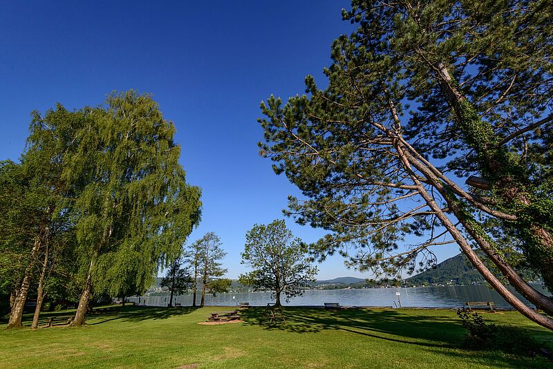 Neugestaltetes Badeareal „Huthausaufsatz“ in Weyregg am Attersee (OÖ) mit großzügiger Liegewiese (c) ÖBf-Archiv/W. Simlinger
