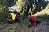 Forstfacharbeiter beim Setzen von Jungpflanzen im steilen Gelände (c) ÖBf-Archiv/W. Simlinger