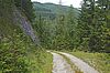 Forststraße in den Fischbacher Alpen