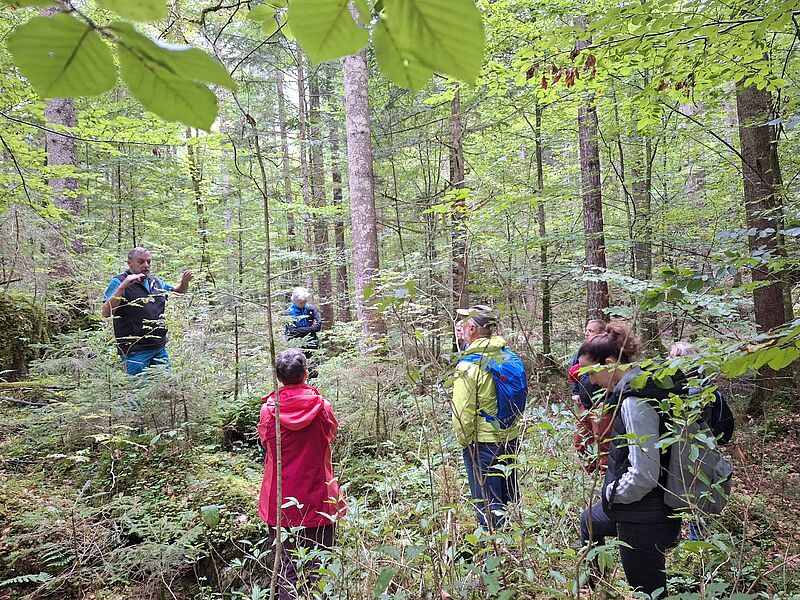 ÖBf-Waldführung im Echerntal (c) oebf ÖBf-Waldführung im Echerntal (c) oebf