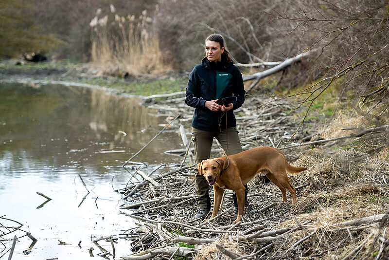 ÖBf-Mitarbeiterin Stella Waszilovics bei der Kartierung im Nationalpark Donau-Auen (c) ÖBf/Imre Antal