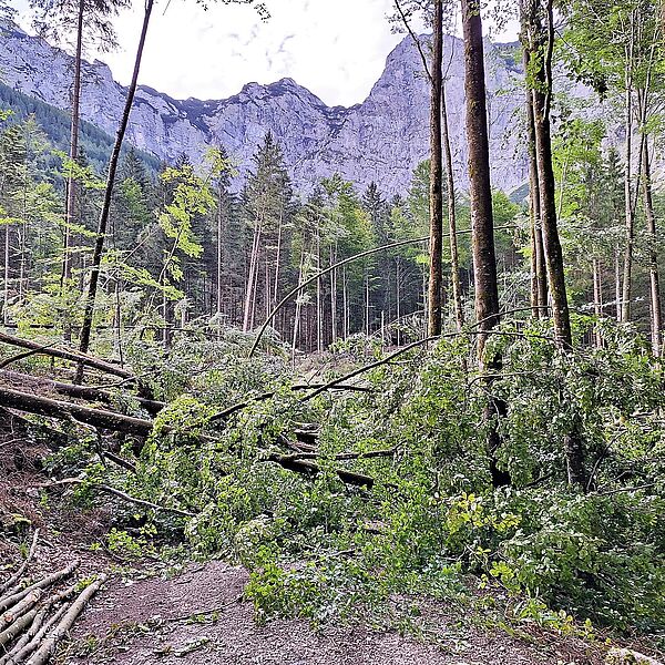 Wegsperrungen im Bereich Ebensee/Neukirchen