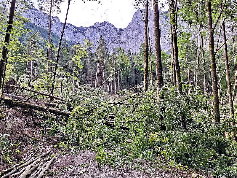 Unwetterschäden bei Ebensee (c) ÖBf