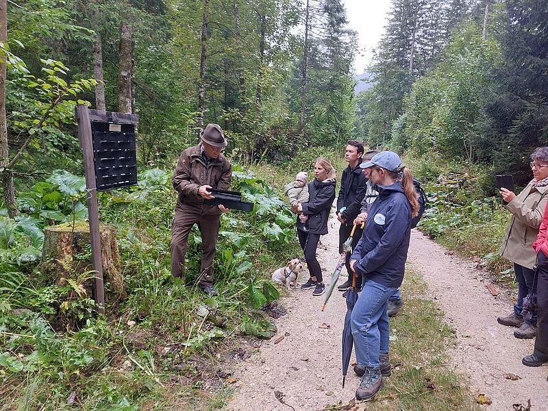 ÖBf-Waldführung in Altaussee (c) oebf/T. Kranabitl ÖBf-Waldführung in Altaussee (c) oebf/T. Kranabitl