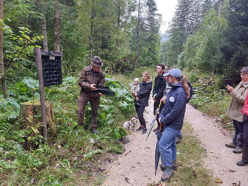 ÖBf-Waldführung in Altaussee (c) oebf/T. Kranabitl ÖBf-Waldführung in Altaussee (c) oebf/T. Kranabitl