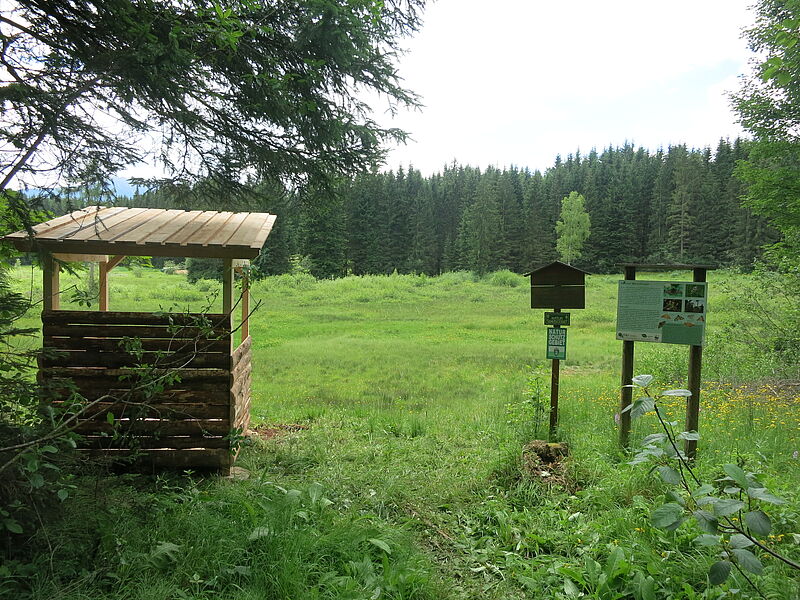Ein Bodensitz schaut aufs Moor. Daneben steht eine Tafel.