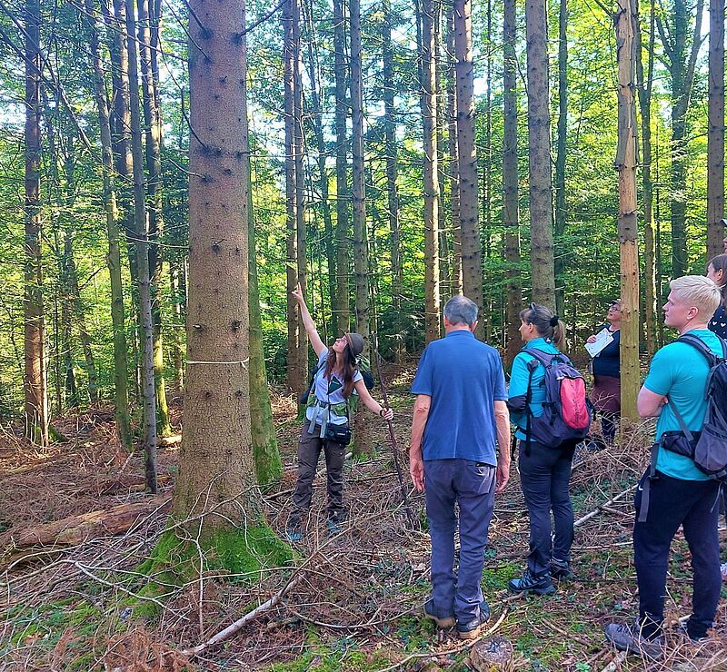 Bundesforste Expertin Palmira Deißenberger zeigt den Teilnehmer*innen einen Zukunftsbaum (c) ÖBf