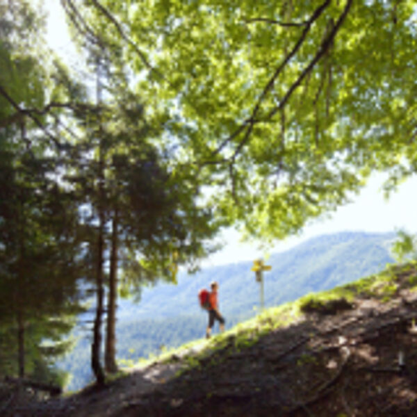 Tourismus und Naturschutz - Platz für alle Ansprüche?