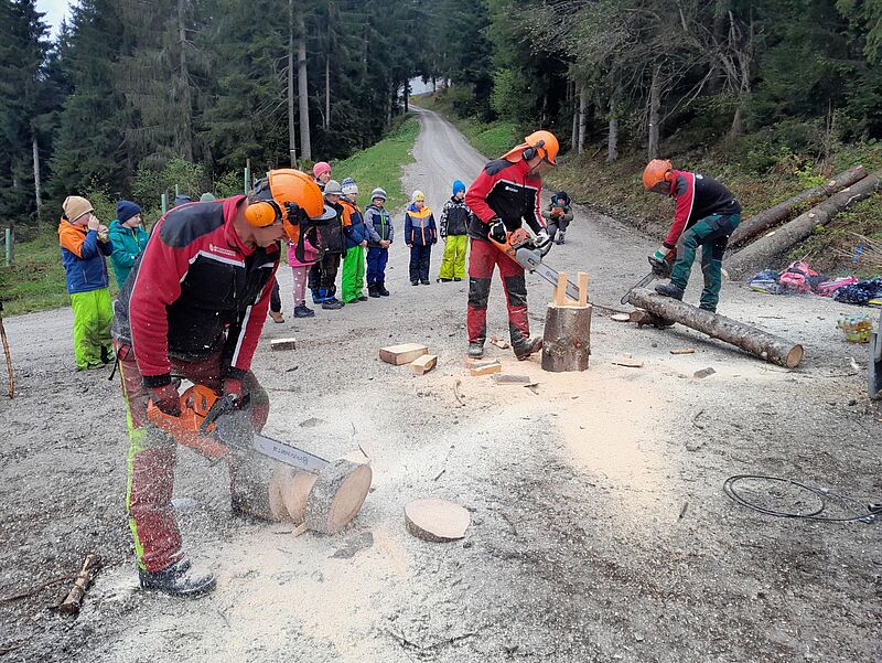Motorsägenvorführung der ÖBf-Forstfacharbeiter (c) ÖBf/J. Schindlbacher