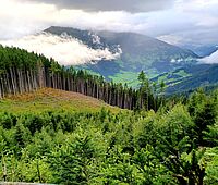 FB Unterinntal Brandberg West