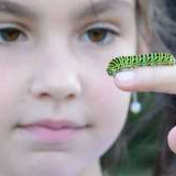 Neuer "NATUR ERLEBEN"-Folder erschienen