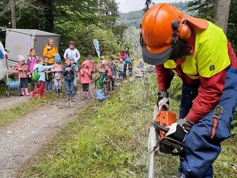 Einblicke in die Forstarbeit (c) ÖBf