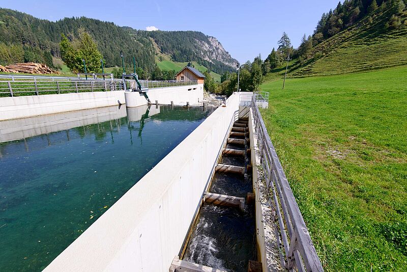 Kleinwasserkraftwerk Forstaubach, Wasserfassung Foto: ÖBf / Wolfgang Simlinger