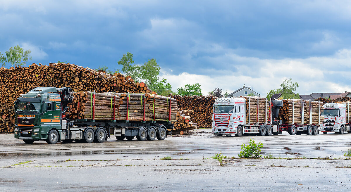 Holztransport Lagerplatz Amstetten (c) ÖBf Holztransport Lagerplatz Amstetten (c) ÖBf