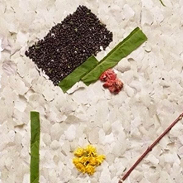 WALD Kalender April 2024