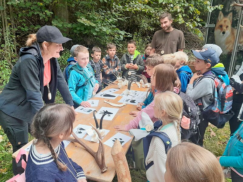 Waldführung mit ÖBf-Expert*innen (c) oebf Waldführung mit ÖBf-Expert*innen (c) oebf