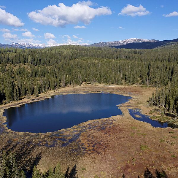 Internationale Ramsar-Auszeichnung für drei Moore im Salzkammergut 