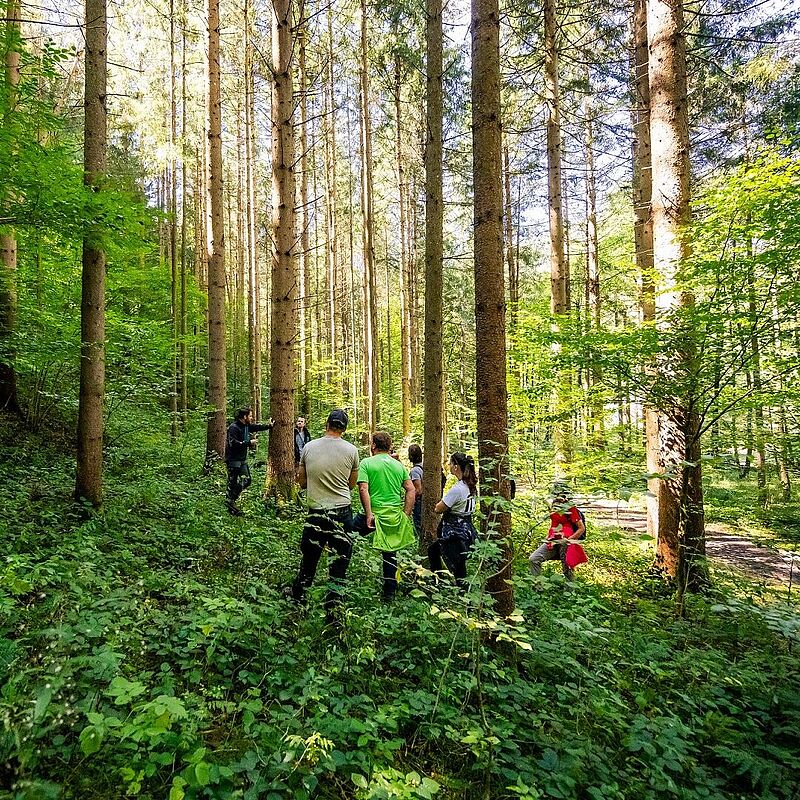 Wald der Zukunft Führung in Villach, © ÖBf/M. Stabentheiner 