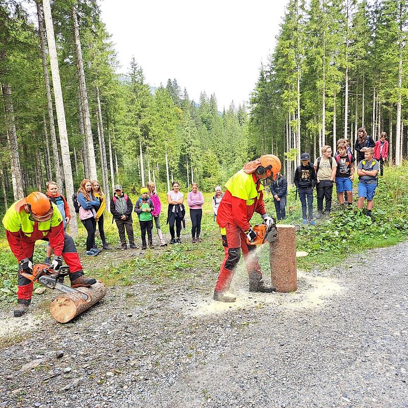 ÖBf-Experten bei der Motorsägen-Vorführung  (c) F. Broschek/H. Schlögel