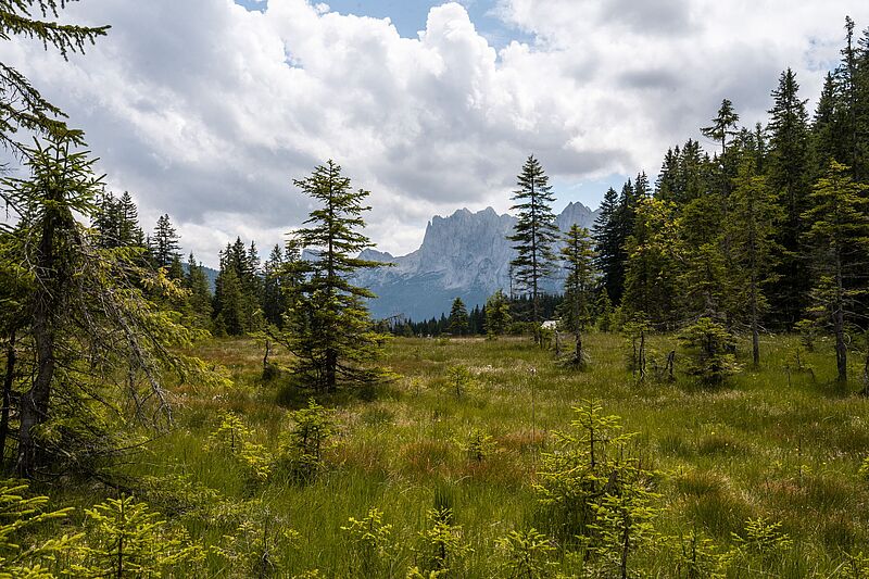 "Torfstube" in Gosau (c) oebf/Christina Rittmannsperger "Torfstube" in Gosau (c) oebf/Christina Rittmannsperger