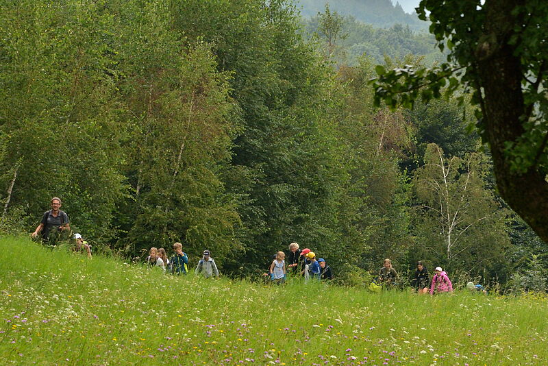 Kindergruppe wandert am Waldrand entlang