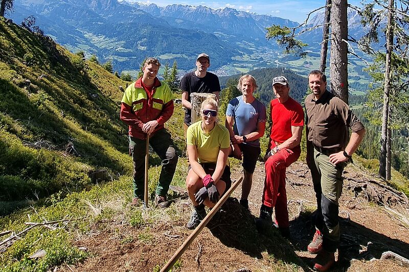 150 Bäume zum 150-Jahr-Jubiläum gepflanzt