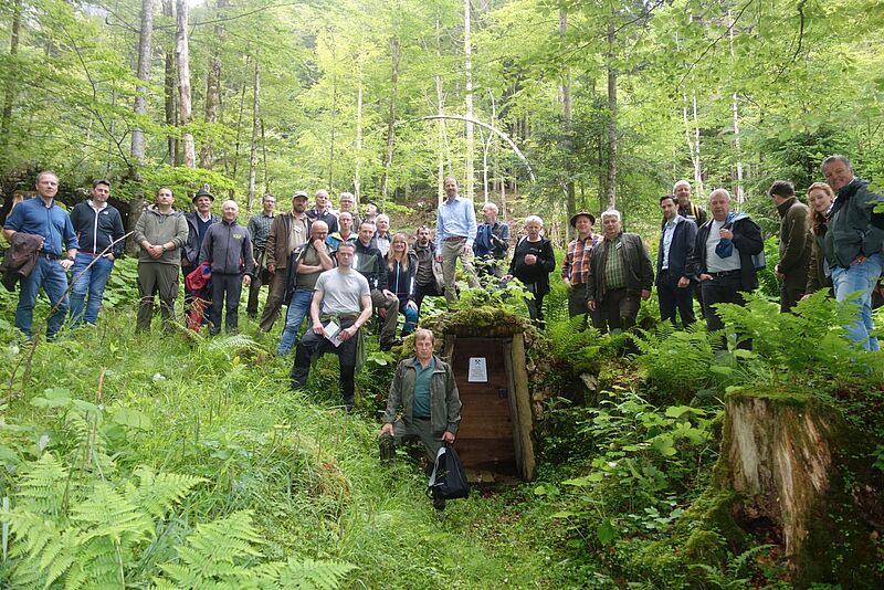 Exkursion mit Martin Stürmer (Mitte), Betriebsleiter des ÖBf-Forstbetriebs Inneres Salzkammergut (c) Forstzeitung