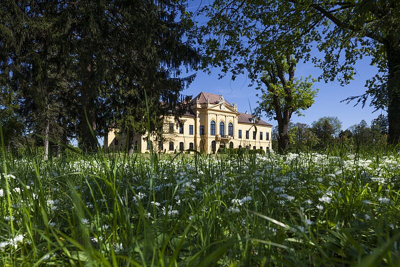 Schloss Eckartsau, Westansicht mit Allee (c) ÖBf-Archiv/C. Panzer