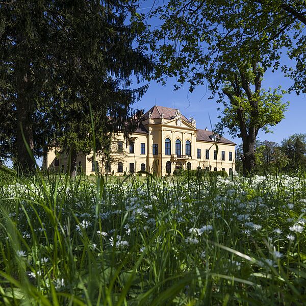 Ab durch den Garten: Buntes Osterferien-Programm im Schloss Eckartsau