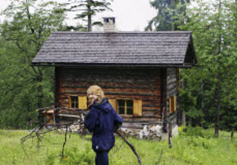Holztransport, Foto: ÖBf-Archiv/Nachname