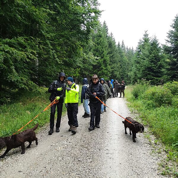 Gelungener Waldtag mit den Pfadfindern