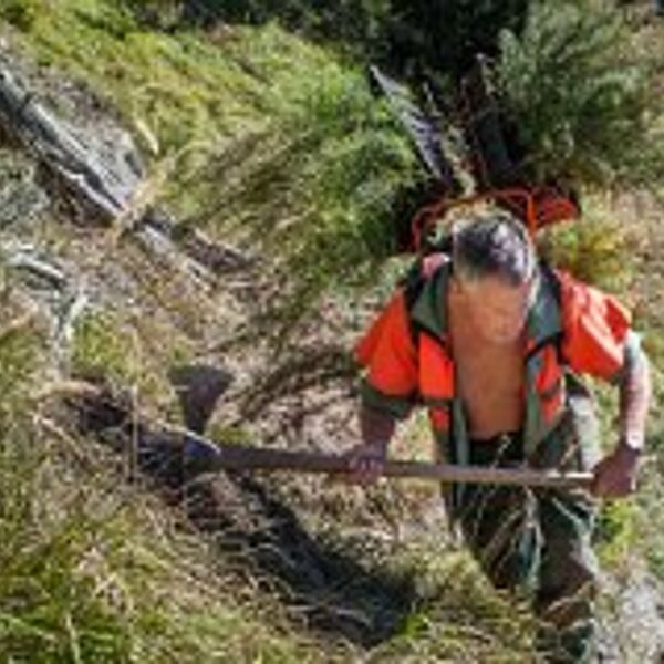 Das große Pflanzen hat begonnen: Jetzt wird aufgeforstet!