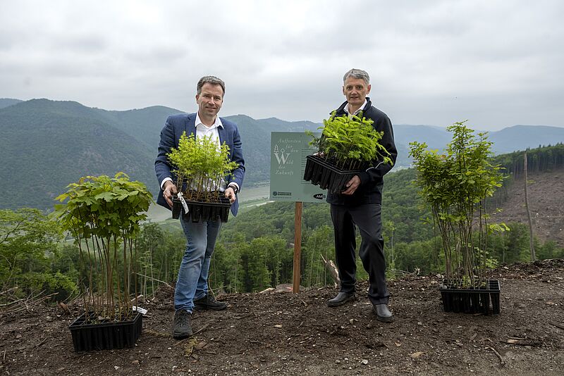 v.l. Johannes Kopf, Vorstandsvorsitzender des AMS, und ÖBf-Vorstandssprecher Georg Schöppl stellen die gemeinsame Wiederaufforstungsinitiative auf einer ÖBf-Fläche in der Wachau vor (c) ÖBf/Martin Skopal