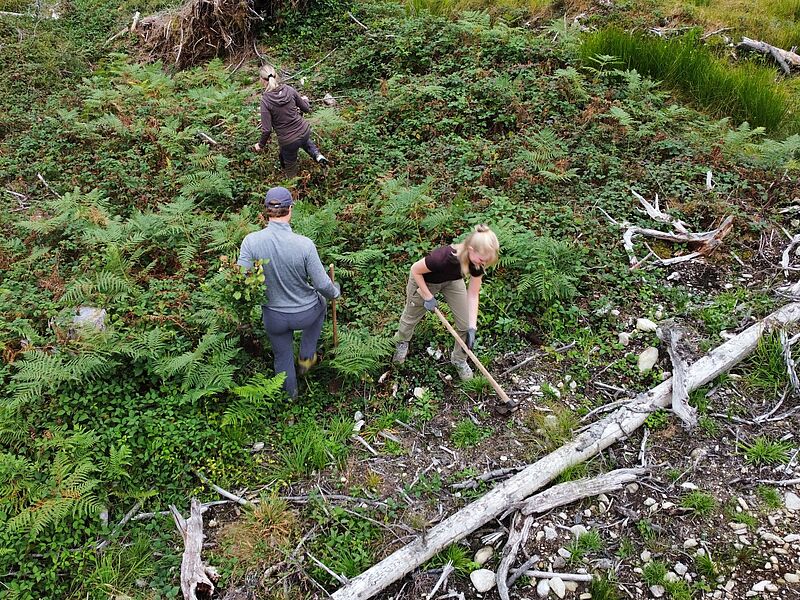 Freiwillige der Initiative „Bäume für morgen“ beim Pflanzen der Jungbäume (c) oebf Freiwillige der Initiative „Bäume für morgen“ beim Pflanzen der Jungbäume (c) oebf