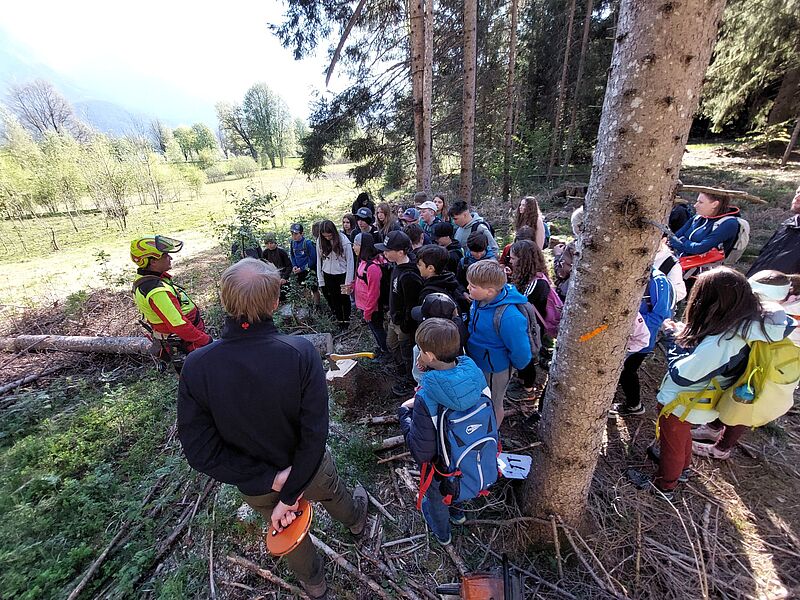 ÖBf-Forstfacharbeiter mit Schulklasse in Saalfelden (c) oebf