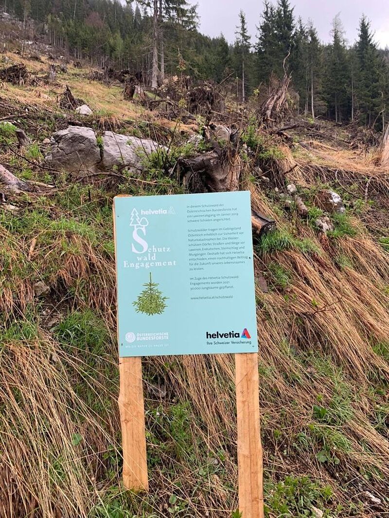 Schutzwaldaufforstung mit Helvetia (c) Helvetia/M. Ruetz