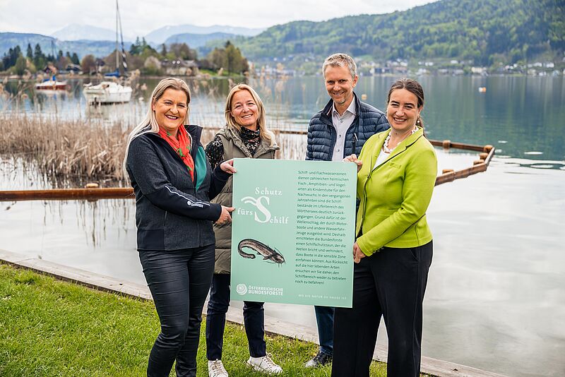 Antje Güttler und Susanne Timmerer (Österreichische Bundesforste) sowie Mario Zanker und Silvia Häusl-Benz (Gemeinde Pörtschach) vor dem neuen Schilfschutzzaun am Wörthersee (c) ÖBf/M. Stabentheiner