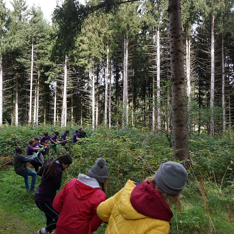 Abtransport des gefällten Baumes mit dem Seil (c) Erzdiözese Salzburg