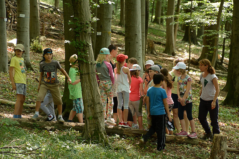 VS St. Andrä-Wördern