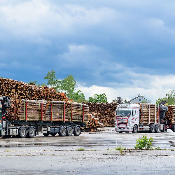 Bundesforste testen erstmals kontaktlose Holz-Logistik