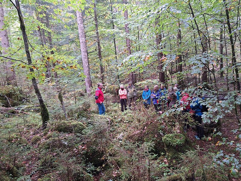Waldführung in Echerntal mit ÖBf-Experten (c) ÖBf Waldführung in Echerntal mit ÖBf-Experten (c) ÖBf