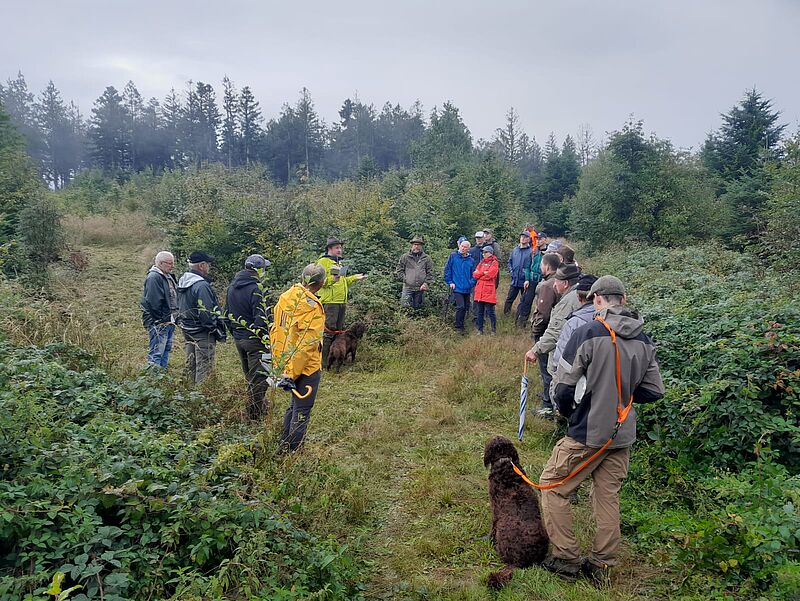 Waldführung im Kobernaußerwald (c) ÖBf