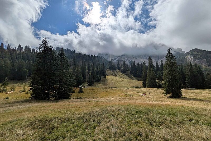 Bundesforste revitalisieren wertvolle Moorlandschaft im Nationalpark Kalkalpen Bundesforste revitalisieren wertvolle Moorlandschaft im Nationalpark Kalkalpen
