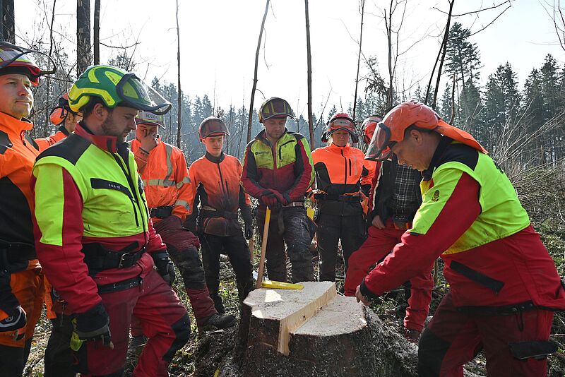 ÖBf-Praxistrainer Johann König erklärt den Teilnehmer*innen, warum die Tiefe des Fallkerbes für die Sicherheit bei der Holzernte entscheidend ist (c) C. Mooslechner