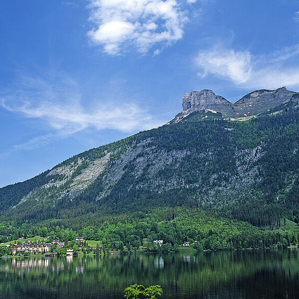 Neue ÖBf-Studie mit dem Umweltdachverband: Schutzwälder als strenge Schutzgebiete?